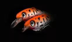 Spro Ripple Profighter 145 DD - 14,5cm