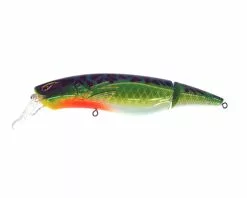 Rozemeijer Tail-Swinger 16cm 55g -Werpmolens Winkel 65264 tail swinger sbg