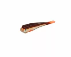 Rozemeijer Urban Sense Micro Tail 4cm -Werpmolens Winkel 66733 micro tail bloody minnow