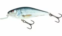 Salmo Executor Shallow Runner - 5.0cm -Werpmolens Winkel executor qex008