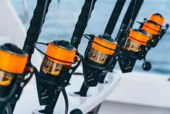 Penn Battle III -Werpmolens Winkel penn spinning reels battle iii spinning lifestyle 2020 001