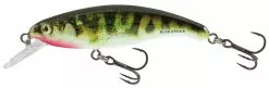 Salmo Slick Stick Floating 6cm -Werpmolens Winkel qsu006 slick stick 6cm holographic stickleback