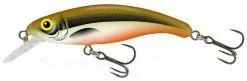 Salmo Slick Stick Floating 6cm -Werpmolens Winkel qsu023