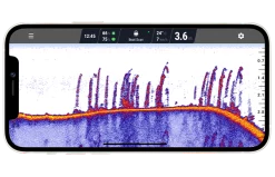 Deeper Smart Sonar CHIRP+ 2 -Werpmolens Winkel vegetation